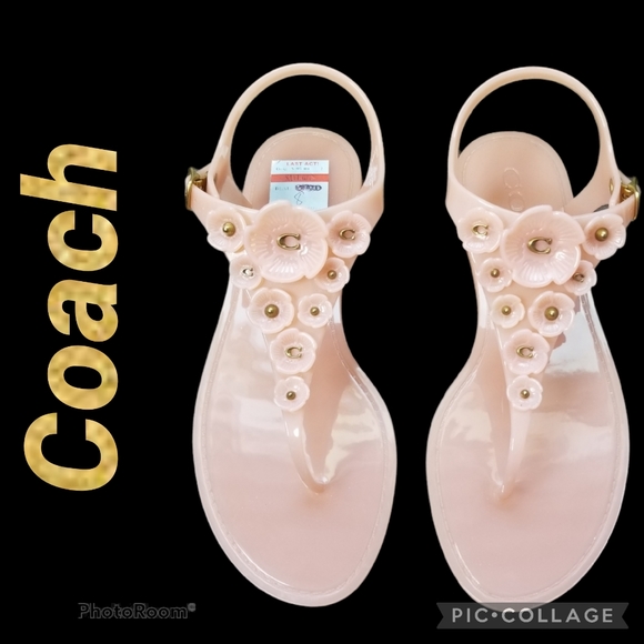 coach tea rose jelly sandals